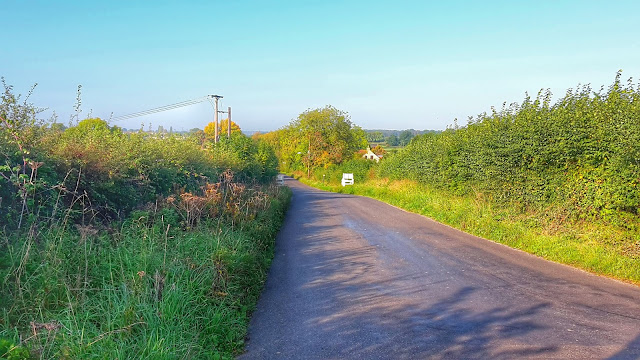 Project 365 2015 day 285 - Hill repeats // 76sunflowers