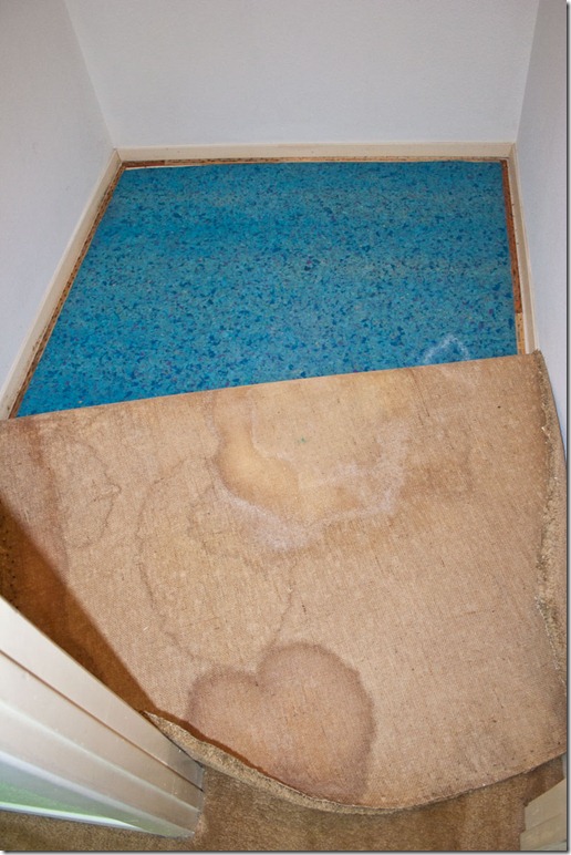Floor-Trim-05