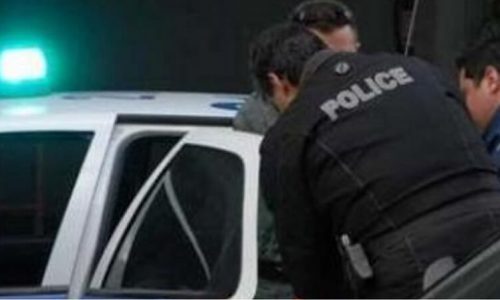 Σε περιοχή του Δήμου Δωδώνης Ιωαννίνων συνελήφθη κατά τη διάρκεια αστυνομικής επιχείρησης της Διεύθυνσης Αστυνομίας Ιωαννίνων αλλοδαπός διακινητής, ο οποίος κατηγορείται για μεταφορά παράτυπων μεταναστών και διευκόλυνση εξόδου αλλοδαπών από τη χώρα, παραβίαση μέτρων για την πρόληψη ασθενειών και παραβάσεις περί ναρκωτικών και Κώδικα Οδικής Κυκλοφορίας.