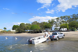 Combing The Bay!