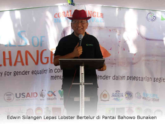 Edwin Silangen Lepas Lobster Bertelur di Pantai Bahowo