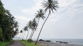 Best self drive in Sao Tome