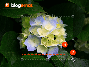 Crop Foto secara Online di Situs ImageResize