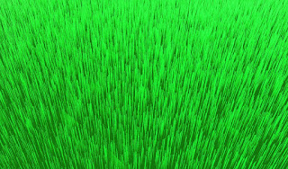 3d green grass royalty free