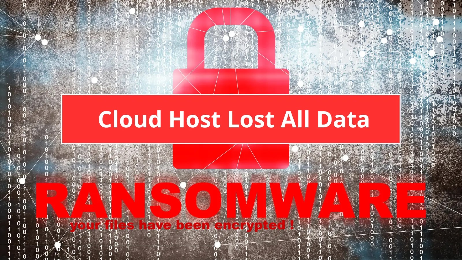 Cloud hosting Provider Lost Data