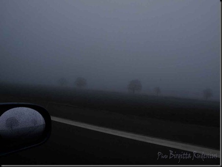 skane_20120229_dimma2