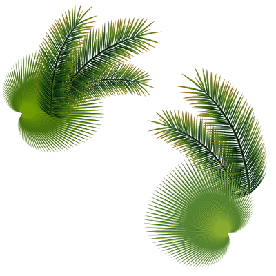 transparent Tree Leaves, green tree Leaves, Tree Leaves, png Leaves, Vector Tree Leaves Free, Leaves png, Free Png Leaves
