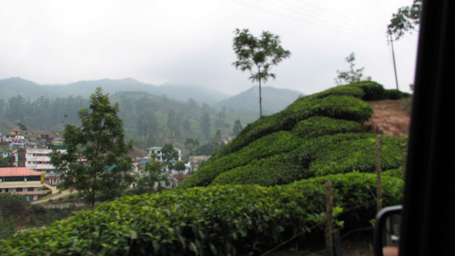  Last summertime nosotros planned to pass a long weekend inwards Munnar IndiaTravelDestinationsMap: Munnar inwards Summer