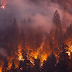 Catastrophic Forest Fires