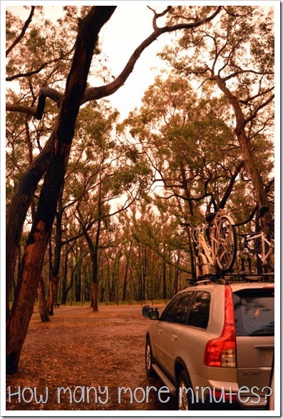 How Many More Minutes? ~ Sawpit Camping Area