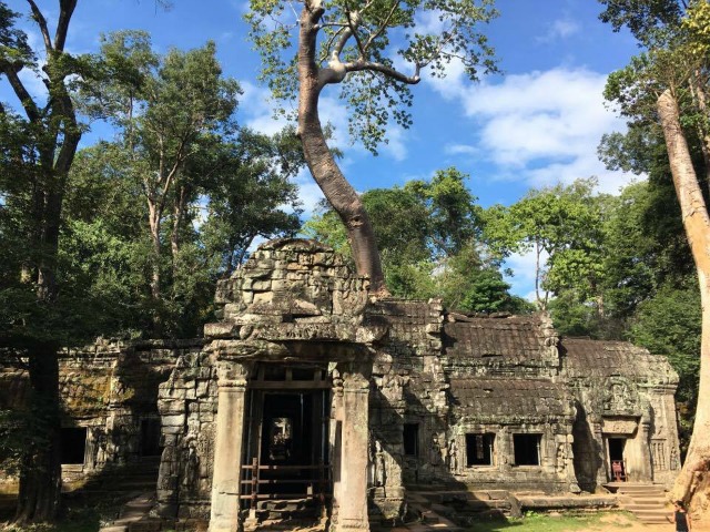 Ta Prohm in Siem Reap Cambodia