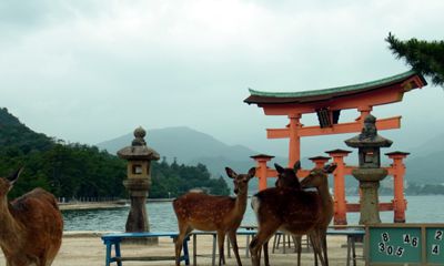 20130706_085231