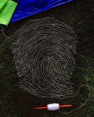 thumbprint art