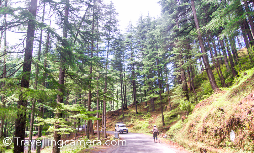 Above photograph shows the road which goes to Jageshwar Mahadev Temples. 