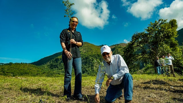 Medio Ambiente junto a Fundación Sur Futuro inician “Mes de la Reforestación” con meta de plantar 12 millones árboles