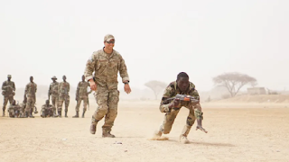 Niger : The United States presents a project to withdraw its forces from the country