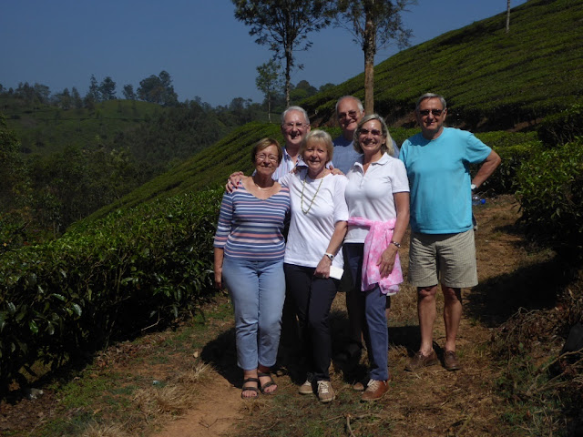 plantation thé a munnar