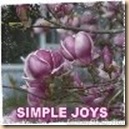simple joys simple joys