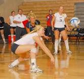 Volleyball pic