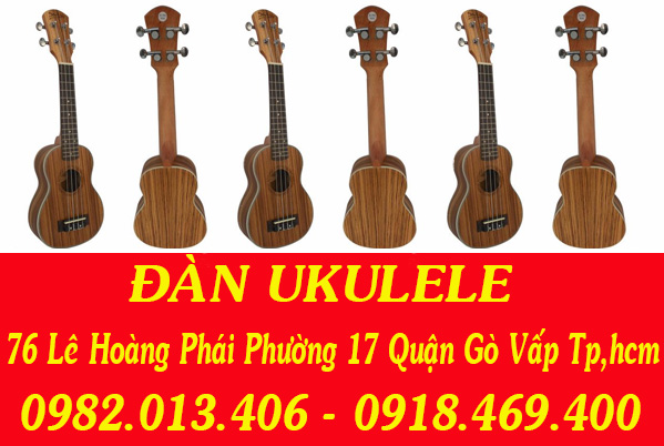 guitar binh tan 1