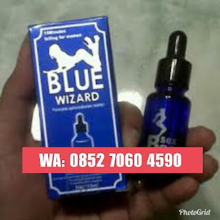Jual Blue Wizard Jakarta, 