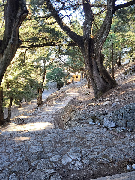 Path between the villa and the ruined chapel