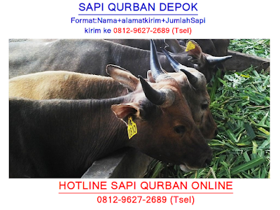 MURAH! 0812-9627-2689, Daftar Harga Sapi Qurban 2018 Depok, Daftar Harga Sapi Qurban Depok, Daftar Harga Sapi Qurban Tahun 2018 Depok, Pusat Sapi Qurban Depok, Bursa Sapi Qurban Depok,