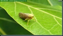 20140805_150808_036_GongGuan