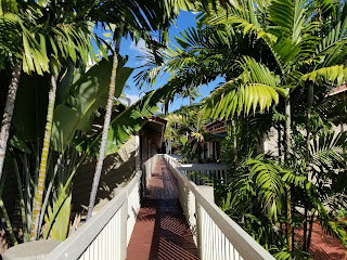 Aina Nalu walkway | Lahaina condos for sale