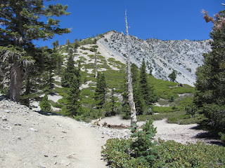 Looking north on Baldy's South ridge