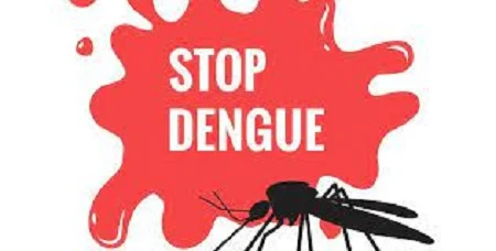 Mosquito-Proof Your Home: Effective Measures to Prevent Dengue