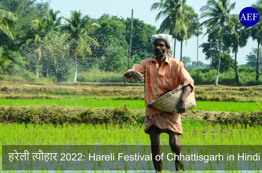 हरेली त्यौहार 2022: Hareli festival of Chhattisgarh in Hindi