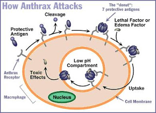 www.sriscience.blogspot.com