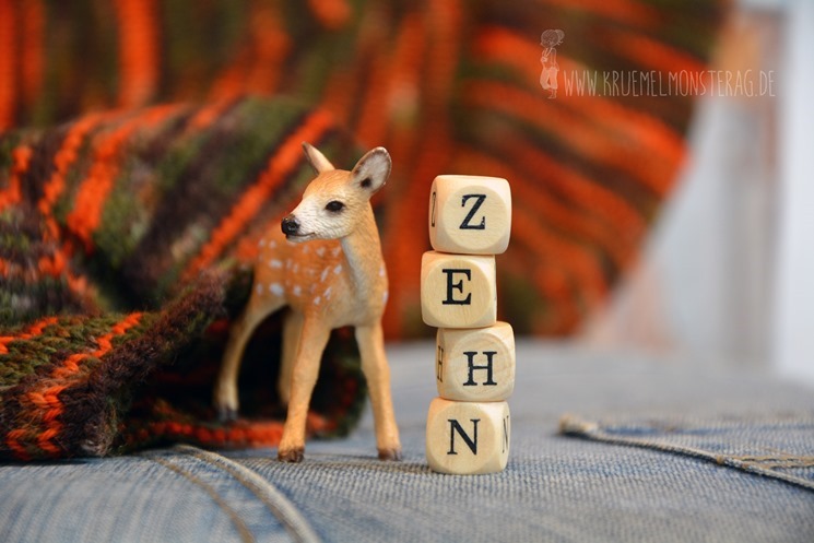 zehn 20fünfzehn (01) Tausendschön Goldener Oktober Rippen Größe 46_48