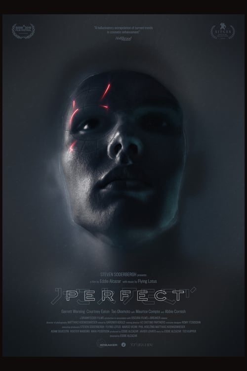 Descargar Perfect 2019 Pelicula Completa En Español Latino