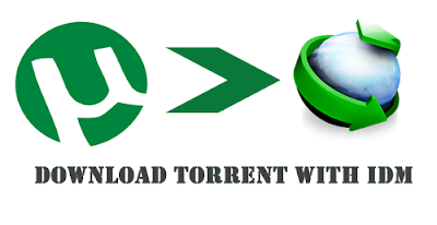 Download Torrent Files Using Internet Download Manager