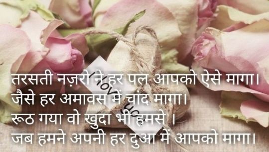 love shayari