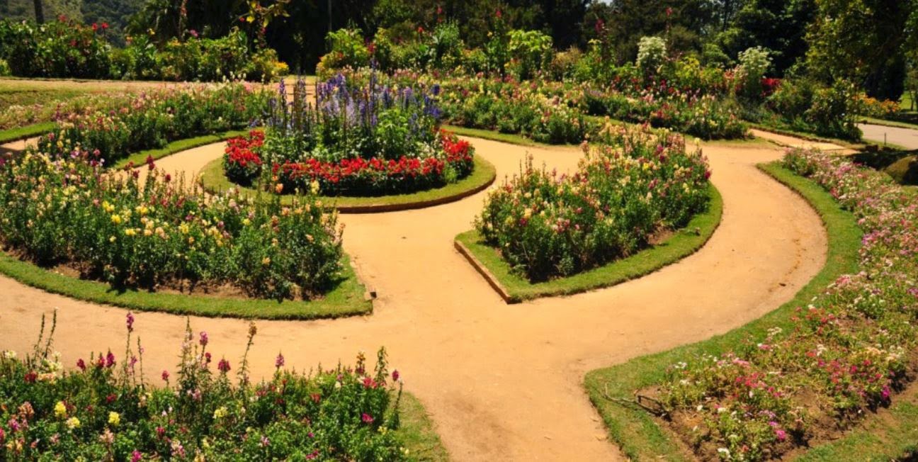 10 Inspirational Botanic Gardens | Eilat Botanic Garden, Eilat, Israel