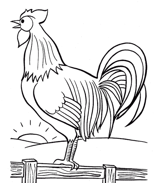 Rooster Crowing In The Morning Farm Animal Coloring Pages