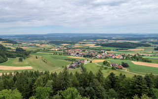 Buch am Irchel ist ein hübsches kleines Dorf im Zürcher Seeland mit einer botanischen Seltenheit.