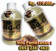 Obat Herbal Jelly Gamat Gold G