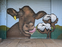Dundedoo Street Art
