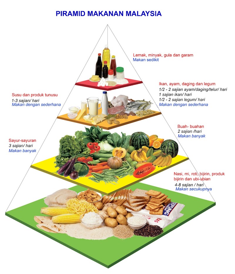 Inspirasi Top Piramid Makanan