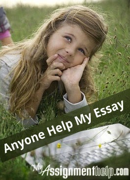 essay help