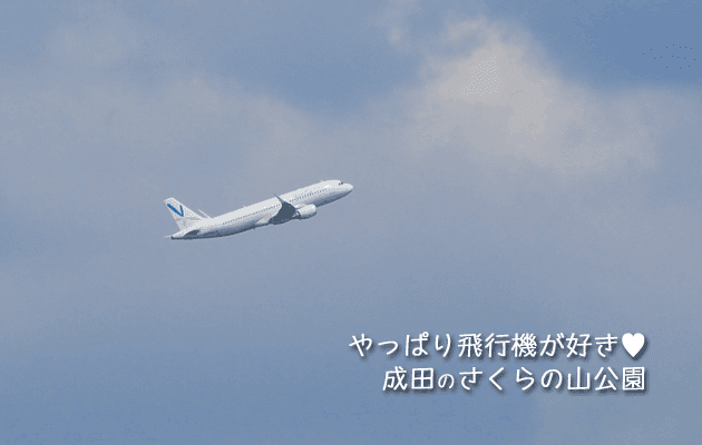 成田さくらの山で見たVanilla Air