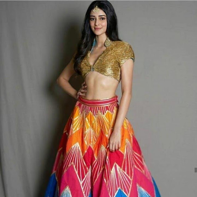 Ananya Pandey Traditional Wear Photoshoot