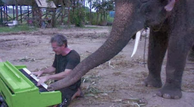 Ada gajah bermain piano di Thailand