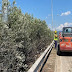 Εργασίες κοπής πρασίνου από Θεσσαλονίκη προς Χαλκιδική ξεκινούν την ερχόμενη εβδομάδα 