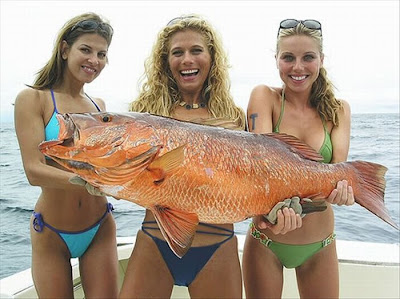 bikini fishing pictures