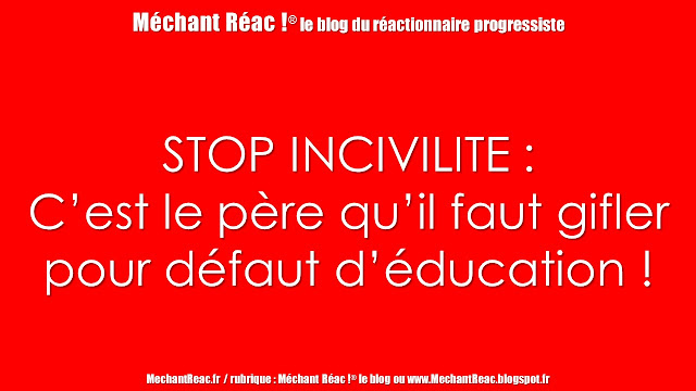 https://mechantreac.blogspot.com/2018/09/stop-incivilite-cest-le-pere-quil-faut.html